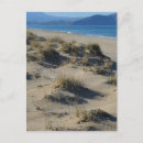 Search for beach grass postcards Dunes