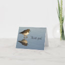 Search for sandpiper cards Bird