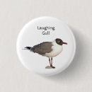 Search for gull badges Bird