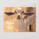 Search for funny baby thank you cards Cute