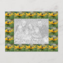 Search for black eyed susans postcards Yellow