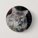 Search for coon badges Animal