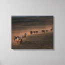 Search for wild canvas prints Herd