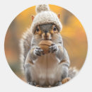 Search for squirrel nuts stickers Wildlife