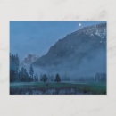 Search for half moon cards Nature