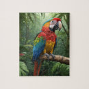 Search for parrot puzzles Macaw