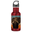 Search for endangered drinkware Wildlife