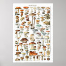 Search for champignons posters French