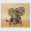 Search for beautiful wrapping paper African