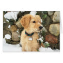 Search for cute golden retriever puppy christmas cards Snow