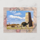 Search for camel desert postcards Vintage