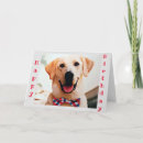 Search for dad birthday cards Silly
