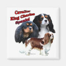 Search for cavalier king charles spaniel gifts Canine