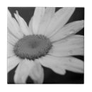 Search for black and white daisy flowers tiles Floral