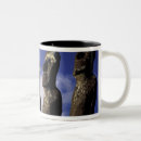Search for easter island mugs Polynesia