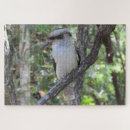 Search for kingfisher puzzles Australia