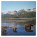 Search for predator tiles Alaska