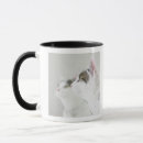 Search for mirror reflection mugs Animal