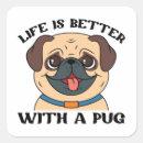 Search for better gift wrap Pet