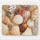 Search for pictures of shells mousepads Seashell