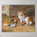 Search for kitties posters Cute