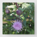Search for weed clocks Garden