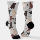 Search for labrador retriever socks Pattern