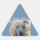 Search for american pit stickers Bully breed