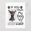 Search for my dog postcards Pet