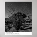 Search for ansel posters Landscape