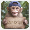 Search for monkey humour stickers Chimp