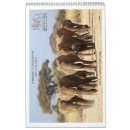 Search for matriarch Elephant
