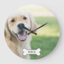 Search for instagram posters Ricaso