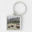 Search for valleys key rings Outdoors