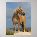 Search for haflinger art Breed