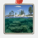 Search for transparent christmas tree decorations Horizontal