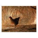 Search for abstract chicken art Photography