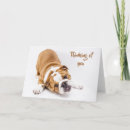 Search for thinks cards Puppy