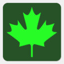 Search for maple leaf stickers Nature