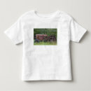 Search for tractor toddler clothing Scenic