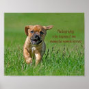 Search for inspirational dogs posters Canine
