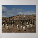 Search for colonialism posters Colony