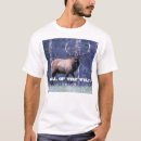 Search for bugle call Elk