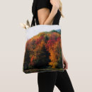 Search for falling water bags Autumn
