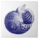 Search for blue sea shell tiles Blue and white