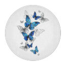 Search for moth cookware Butterflies