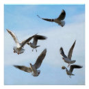 Search for headings art Bird