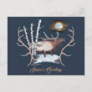 Search for majestic postcards Majestic bull elk bugling