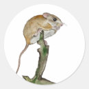 Search for mice stickers Animals