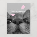 Search for cat graduation cards Kitty